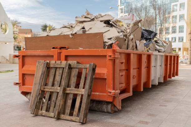 Best Yard Waste Removal  in San Elizario, TX